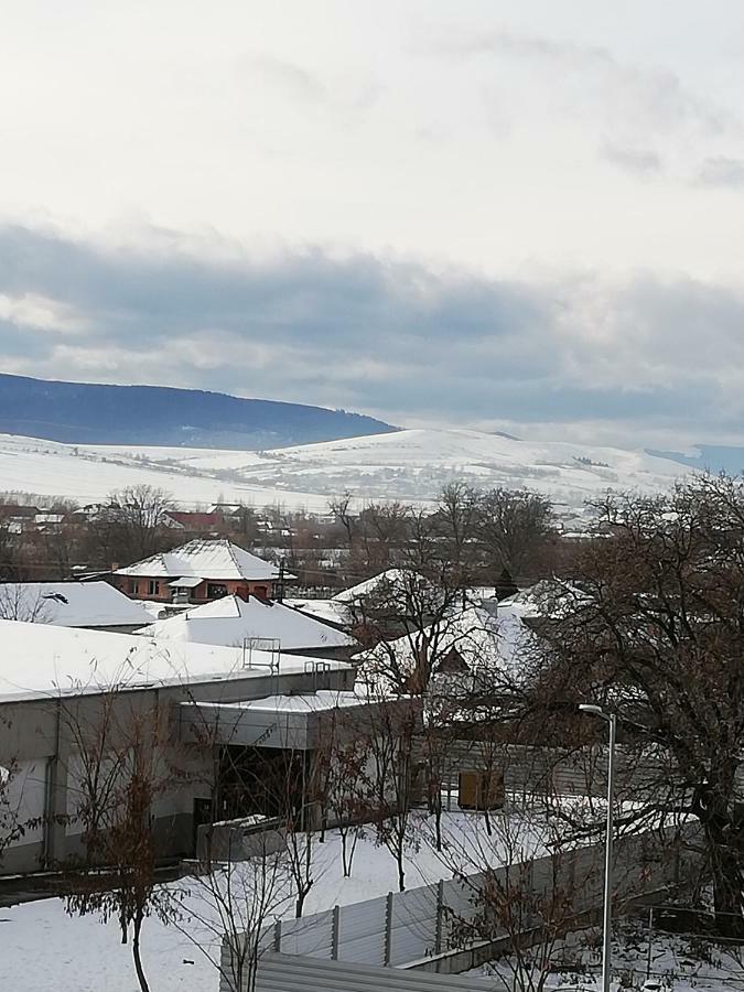 Pensiunea La Safari Targu Neamt Exterior foto
